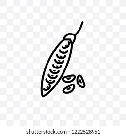 Beans vector linear icon isolated on transparent background, Beans transparency concept can be used for web and mobile