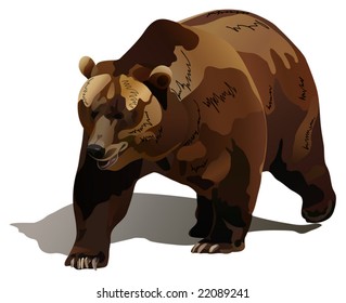 the bear