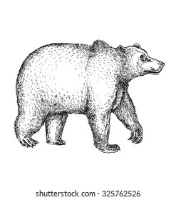 132,339 Drawn bear Images, Stock Photos & Vectors | Shutterstock