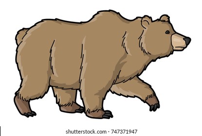 Bear