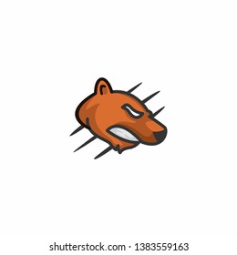 bear angry logo template vector