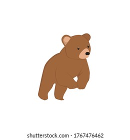 Bear Animal Cartoon Art Illustration
