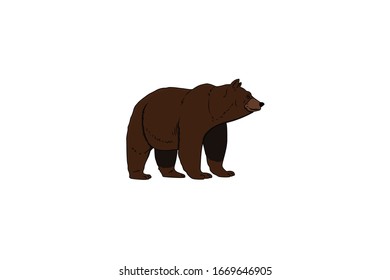 Bear Animal Cartoon Vector Illustration