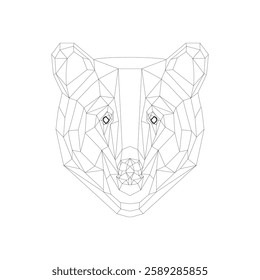 Bear animal bear, fur, mammal, wildlife, grizzly, wild