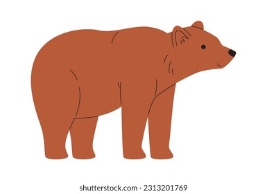 Bear Animal Standing Vector Illustration