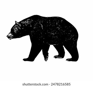 Bear animal vector design silhouette template 