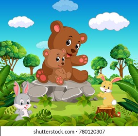 Bear and baby bear in the forest