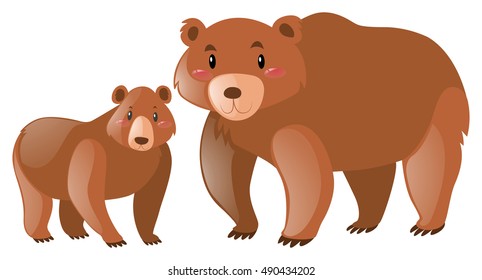 Bear and baby on white