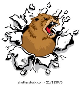 Bear bursting through Wall,Mascot,Sports.