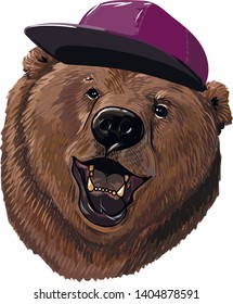 Bear And The Cap, Vector Illustration