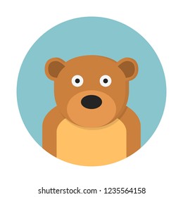 Bear, carnivore mammal