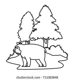 bear cartoon animal