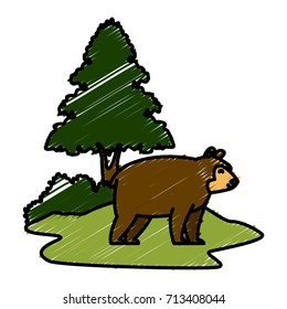 bear cartoon animal