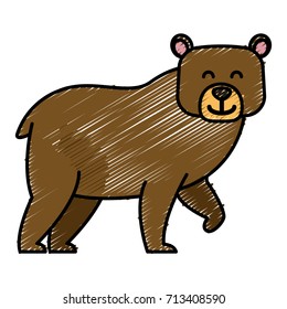 bear cartoon animal