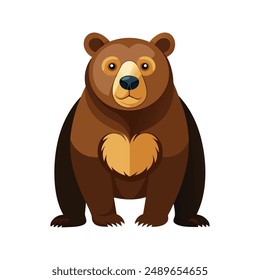 Bear cartoon color illustration design