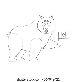 bear cartoon icon