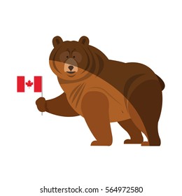 bear cartoon icon