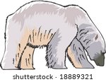 Bear Character