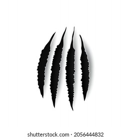 Bear claw marks, scratches, wild animal talon rips, vector holes of predator nails. Tiger or cat paws trails, realistic 3d marks of lion, monster, dragon or beast, break traces on white background