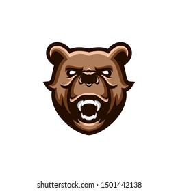 bear collections logo design vector 