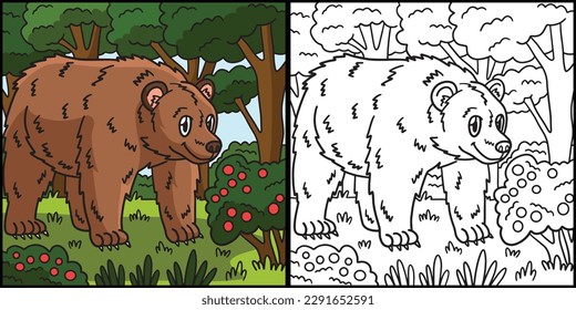 Bear Coloring Page Colored Illustration