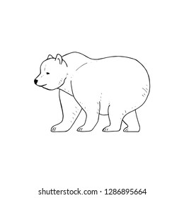 830 Collections Bear Coloring Pages Easy  Best HD