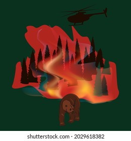 Bear comes out of the burning Forest has art illustration - vector. Natural disaster. Ecology protection concept.