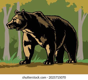 The bear comes out of the forest