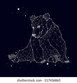 Bear Constellation Vector