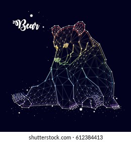 Bear constellation vector