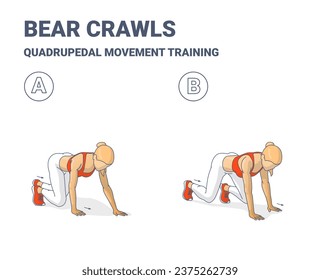 Bear Crawls Exercise, Woman Home Workout Routine Guidance. Colorful Concept of Girl Quadrupedal Movement Home Training a Young Female in Sportswear do the fitness exercise