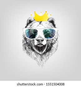 bear in crown glasses head vector illustration