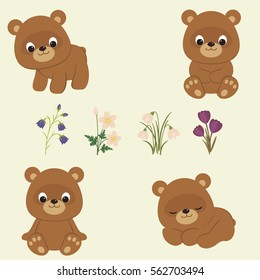 Bear cubs and Spring flowers. Brown baby bears in different poses. Spring flowers: bluebells, anemones, snowdrops, crocuses. Vector illustration