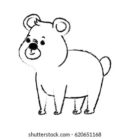 bear cute animal cartoon icon image 