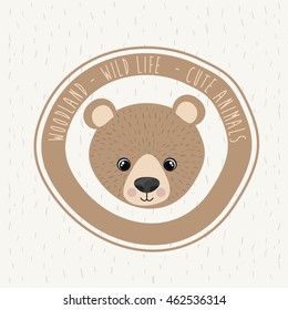 bear cute wildlife icon vector isolated graphic