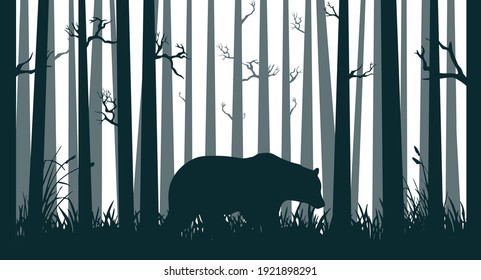 Bear in the deep forest