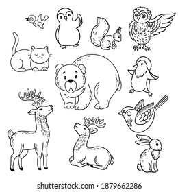 Bear, deer, hare, owl, cat, squirrel, penguin. Forest animals and birds. Vector outline hand drawn illustrations