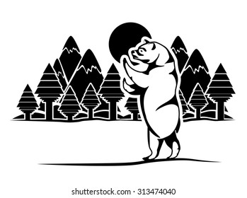 Bear digital design, vector illustration eps 10