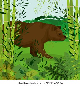 Bear digital design, vector illustration eps 10
