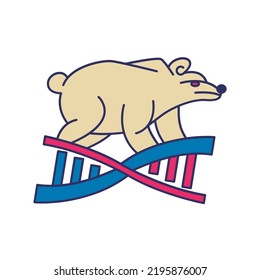 Bear with DNA logo design template.
