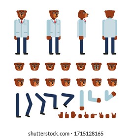 Bear doctor or professor character creation kit. Create your own pose, action, animation. Minimal design vector illustration