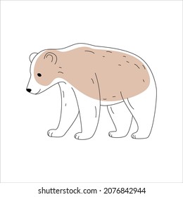 A Bear Drawn With A Black Line And A Light Brown Spot. Isolated On White Background. Line Art. Vector.