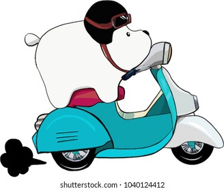 Bear drive scooter motor