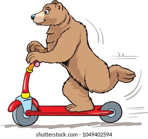 the bear drives a kick scooter