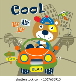 bear driving a car funny animal cartoon,vector illustration