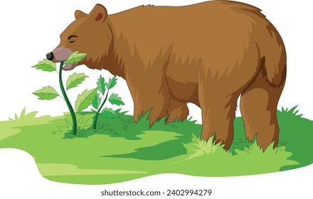 Bear eating plants vector illustration