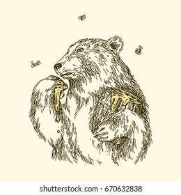 The bear eats honey paw. Vintage style. Vector illustration.