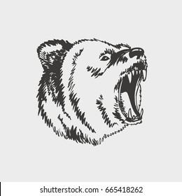 Bear emblem