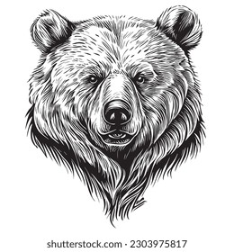 Urso de panda dos desenhos animados Clip Foto stock gratuita - Public  Domain Pictures