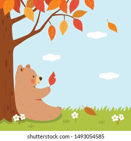 A bear and fallen leaves under the autumn tree